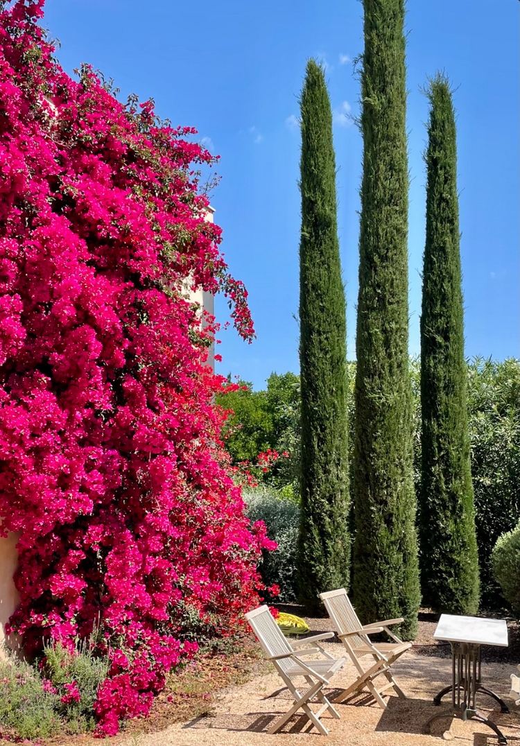 300-hour Mallorca Modules: November 1-14, 2026.