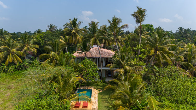 Sri Lanka Yoga Retreat x December 1-7, 2026