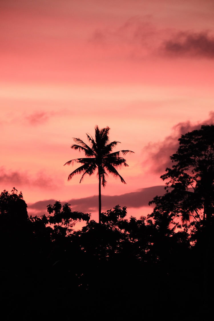 Sri Lanka Yoga Retreat x December 1-7, 2026
