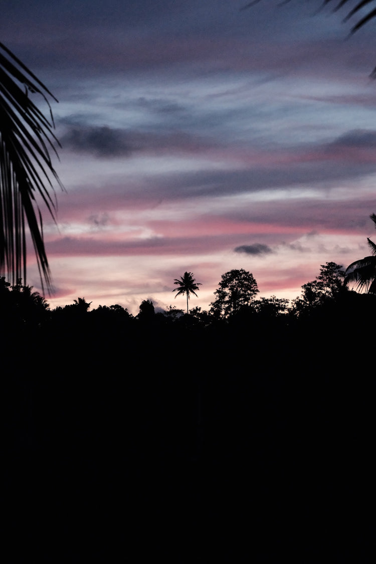 Sri Lanka Yoga Retreat x December 1-7, 2026